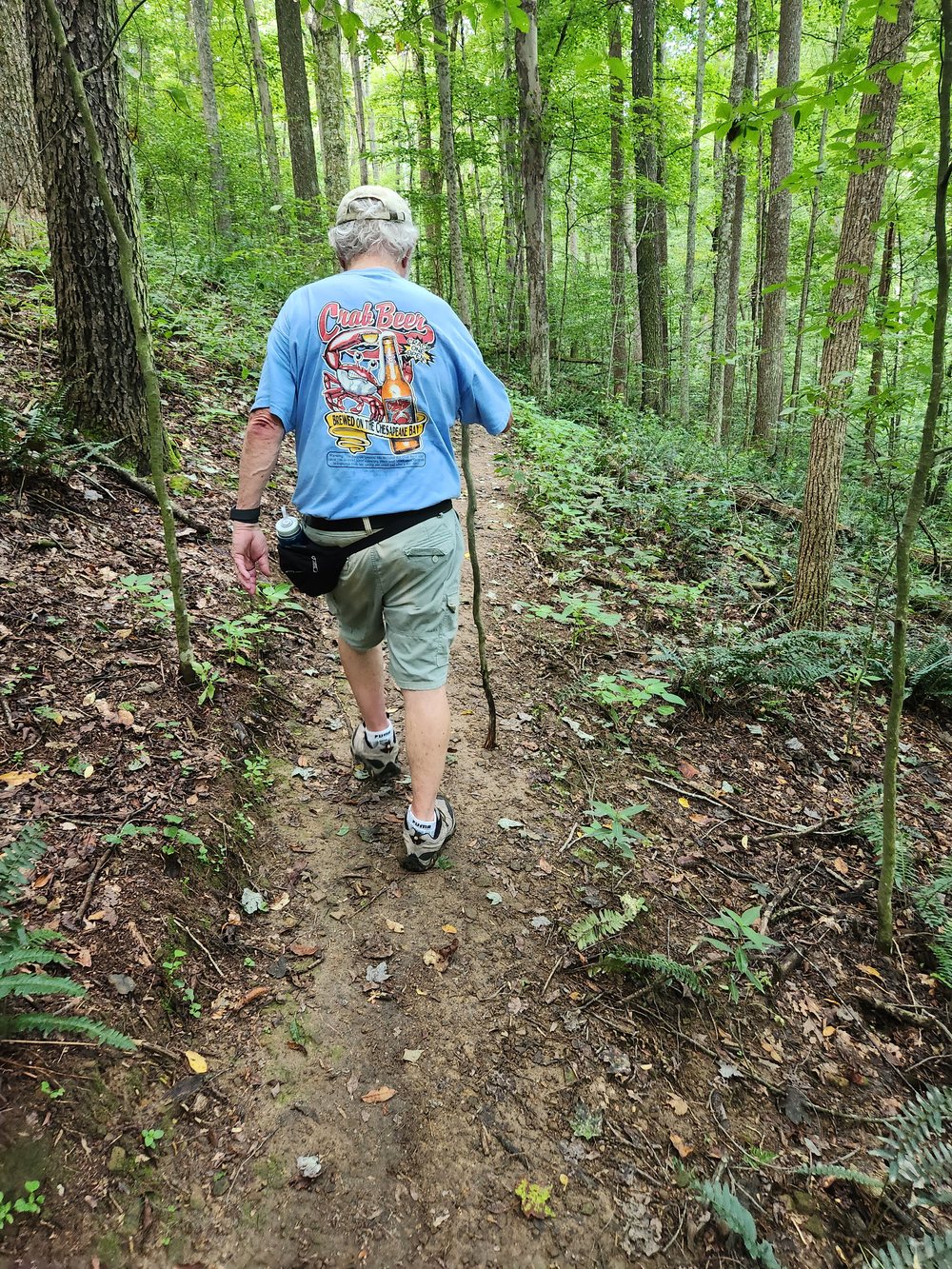 John walking away from the camera along a narrow woodland trail, walking stick in hand